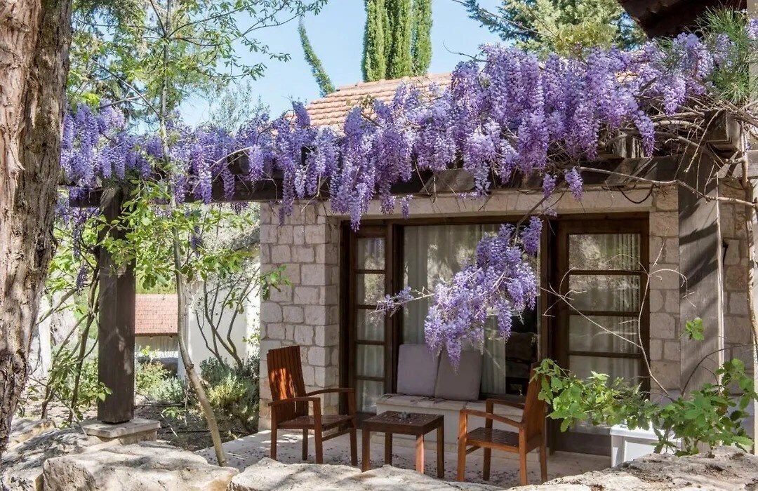 Апартаменти Ayii Anargyri Natural Healing SPA Resort 4*